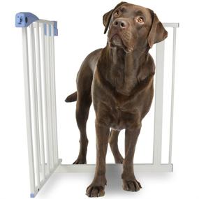 img 3 attached to 🐾 Top-Rated Heavy Duty Easy Open Walk-Thru Steel Safety Gate - Perfect for Pets!