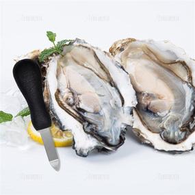 img 2 attached to AUEAR Shucking Non Slip Shucker из нержавеющей стали