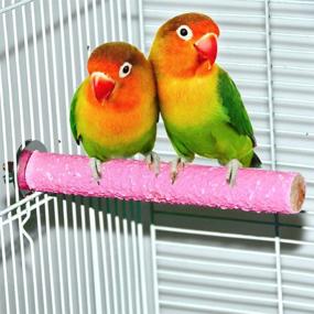 img 3 attached to 🦜 Colorful Pet Bird Perch Stand Platform with Natural Wood for Exercise Paw Grinding and Cage Accessory, suitable for Parrots, Budgies, Parakeets, Cockatiels, Conures, Lovebirds, Rats, and Mice (4 Color Options)