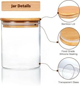 img 2 attached to 🍯 6-Pack of Airtight 16oz Glass Food Storage Jars with Wooden Bamboo Lids - Ideal for Coffee, Tea, Cookies, Candy, and More - Kitchen Glass Canisters