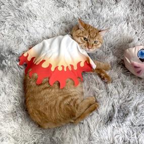 img 3 attached to 🎃 Halloween Pet Costume: Anime Cosplay Clothes for Your Small Dog or Cat - Adorable Kimono Cartoon Outfit!