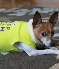 img 2 attached to 🐩 Parisian Pet Keep Calm T-Shirt in Parisian Style