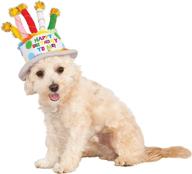 🎂 rubie's costume company pet birthday cake hat - enhance your pet's celebration логотип