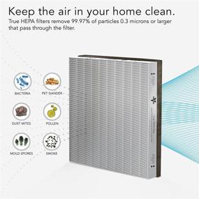 img 2 attached to 🌬️ Vornado MD1-0022 Air Purifier Filter (1 Count) - Gray | Pack of 1