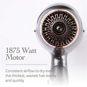 img 2 attached to 💨 LumaBella Pure Power Hair Dryer