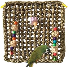 img 3 attached to 🐦 Enhance Your Bird's Cage with PINVNBY Bird Foraging Wall Toy - Parrot Chewing Hanging Hook Toys, Seagrass Woven Climbing Hammock Mat, Beak Grinding Stone - Ideal for Cockatiel, African Grey, and Conure Cage Accessories