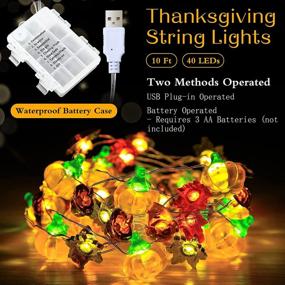 img 3 attached to 🎃 Fall Decoration: Pumpkin Maple Acorns String Lights - 10 Ft Silver Wire, 40 LED - USB and Battery Powered with Dimmable Remote Timer - Ideal for Thanksgiving Decor, Indoor/Outdoor, Fireplace Xmas Decoration