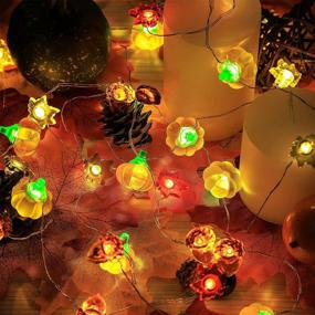 img 2 attached to 🎃 Fall Decoration: Pumpkin Maple Acorns String Lights - 10 Ft Silver Wire, 40 LED - USB and Battery Powered with Dimmable Remote Timer - Ideal for Thanksgiving Decor, Indoor/Outdoor, Fireplace Xmas Decoration