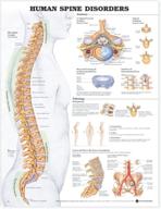 human spine disorders anatomical chart logo