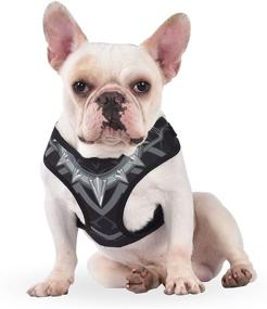 img 1 attached to 🦸 Marvel Comics Pet Superhero Dog Harness - No Pull Walking Harness