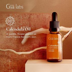 img 3 attached to 🌼 Gya Labs Organic Calendula Oil for Skin Care - Fight Breakouts & Nourish Skin - 100% Pure, Natural Cold Pressed Calendula - 1.02oz