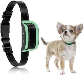 img 3 attached to 🐶 MASBRILL Small Dog Bark Collar - No Bark No Shock Vibration Anti Barking Collar for Small Dogs - Stop Excessive Barking