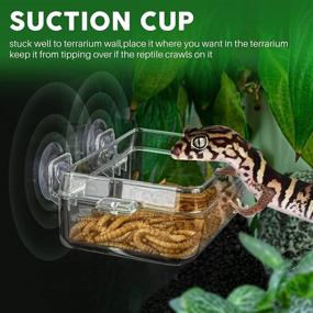 img 2 attached to Essential Reptile Tank Accessory: Reptile Water Food Dish, Feeding Tongs, and Escape-Proof Bowl for Various Species – Lizard, Bearded Dragon, Leopard Gecko, Crested Gecko, Chameleon, Tortoise, Frog, Hermit Crab, Iguana, Superworm, Dubia, Mealworm