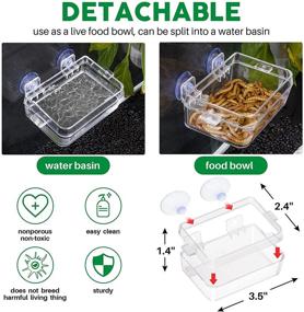 img 1 attached to Essential Reptile Tank Accessory: Reptile Water Food Dish, Feeding Tongs, and Escape-Proof Bowl for Various Species – Lizard, Bearded Dragon, Leopard Gecko, Crested Gecko, Chameleon, Tortoise, Frog, Hermit Crab, Iguana, Superworm, Dubia, Mealworm