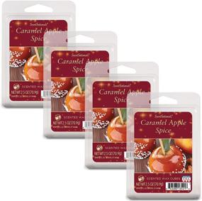 img 4 attached to Scentsationals Scented Wax Fragrance Melts Home Decor