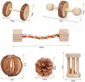 img 2 attached to 🐹 Natural Wooden Hamster Guinea Pig Toy: Exercise Bell Roller for Teeth Care and Molar Stimulation - Fun Play Toy for Small Pets