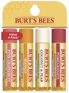 🎁 burt's bees lip balm set, moisturizing holiday gift for stocking stuffers, 100% natural lip care, superfruit collection - pomegranate, coconut & pear, mango, pink grapefruit (4 pack) logo
