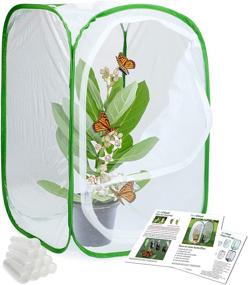 img 4 attached to Insect Butterfly Habitat Terrarium: An Engaging Learning & Education Tool by RESTCLOUD