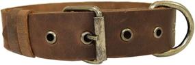 img 4 attached to Rustic Thick Leather Bones Design Dog Collar for Medium-Sized Dogs (12-21 Inches) Handmade by Hide & Drink - Includes 101 Year Warranty, Bourbon Brown