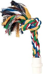 img 1 attached to 🐦 JW Pet Booda Byrdy Bush Interactive Bird Toy, Medium - Assorted Colors