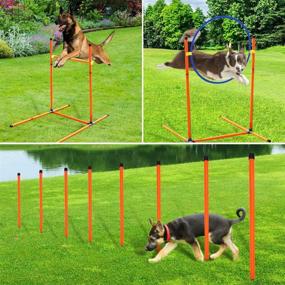 img 2 attached to XiaZ Dog Agility Course Equipment Set - Complete Starter Kit for Doggie, Pet 🐶 Outdoor Games - Includes Dog Tunnels, 8 Weave Poles, Jumping Ring, High Jumps, Pause Box