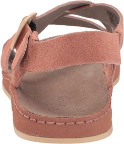 img 2 attached to Chaco Womens Wayfarer Sandals: Perfect Medium-Fit Shoes for Women