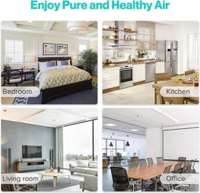 img 1 attached to 🌬️ WiFi-enabled Medical Grade H13 True HEPA Air Purifier for Large Rooms, Bedrooms, and Offices | Removes 99.97% of Dust, Bacteria, Viruses, Smoke, Mold, Allergens | Covers 356 sq ft | 100% Ozone Free