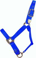 hamilton 1-inch nylon adjustable equine halter logo