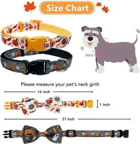 img 2 attached to 🎃 Spook-tacular Halloween Dog Collar Set: 2 Pack with Removable Bow Tie, Festive Jack-O-Lantern and Pumpkin Design - Ideal for Small Medium Large Dogs, Pets, Puppies