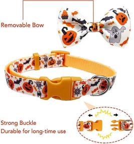 img 3 attached to 🎃 Spook-tacular Halloween Dog Collar Set: 2 Pack with Removable Bow Tie, Festive Jack-O-Lantern and Pumpkin Design - Ideal for Small Medium Large Dogs, Pets, Puppies