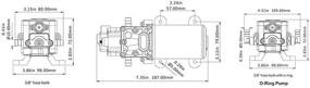 img 1 attached to 🌊 12V 100PSI Seaflo Self-priming Diaphragm Pump