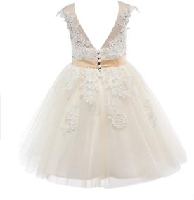 img 3 attached to 🏻 PLUVIOPHILY Miama Champagne Lace Tulle Wedding Flower Girl Dress: Perfect Junior Bridesmaid Attire