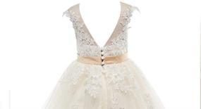 img 1 attached to 🏻 PLUVIOPHILY Miama Champagne Lace Tulle Wedding Flower Girl Dress: Perfect Junior Bridesmaid Attire