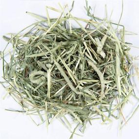 img 2 attached to 🌿 High-Quality 12oz Second Cutting Timothy Hay by Small Pet Select