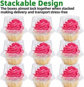 img 2 attached to 🧁 100-Pack Clear Plastic Cupcake Boxes with Dome Lids - Disposable Containers for Individual Cupcakes, Muffins, Salads, Desserts, Hamburger Sliders, Fruits - Convenient Cupcake Carriers