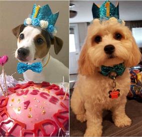 img 2 attached to 🎉 POSAPET Cat Dog Birthday Hat and Bow Tie Collar Set: Perfect Supplies for Pet Birthday Parties!