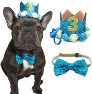 🎉 posapet cat dog birthday hat and bow tie collar set: perfect supplies for pet birthday parties! логотип