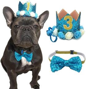 img 4 attached to 🎉 POSAPET Cat Dog Birthday Hat and Bow Tie Collar Set: Perfect Supplies for Pet Birthday Parties!