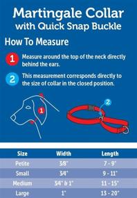 img 2 attached to PetSafe Adjustable Martingale Collar with Buckle - Improve Control, Prevent 🐕 Slipping & Support Strong Pullers - Choke Collar Alternative - Multiple Styles Available