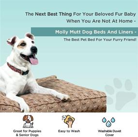 img 2 attached to 🐶 Molly Mutt Dog Bed Cover - Washable and Calming Cover for Medium and Large Dogs with Removable Pet Bed Cover