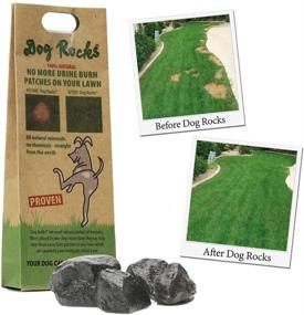 img 1 attached to 12-Pack of Dog Rocks: Natural Pet Urine Lawn Spot Eliminator - 24 Months Supply