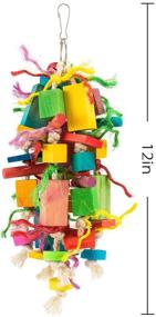 img 3 attached to 🦜 MEWTOGO Medium Bird Parrot Toys - Colorful Wooden Blocks for Conures, Cockatiels, African Greys, and Amazon Parrots - Engaging Foraging and Teething Toys