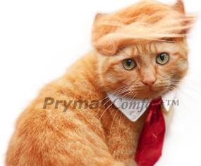 img 2 attached to Halloween, Party, 🎃 and Photo-Ready Trump Cat/Dog Costume