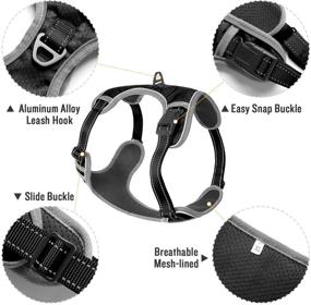 img 2 attached to 🐾 Luciphia Dog Harness and Leash Set: Reflective, Adjustable, No-Pull Harness for Easy Control and Comfortable Walking of Small, Medium, and Large Dogs