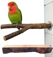🦜 qumy bird parrot toys: enhance bird cage playtime with hanging bell hammock swing and perch toy for small parakeets, cockatiels, conures, and more! logo