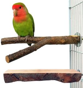 img 4 attached to 🦜 QUMY Bird Parrot Toys: Enhance Bird Cage Playtime with Hanging Bell Hammock Swing and Perch Toy for Small Parakeets, Cockatiels, Conures, and More!