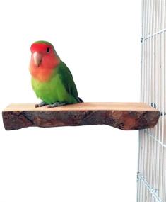 img 3 attached to 🦜 QUMY Bird Parrot Toys: Enhance Bird Cage Playtime with Hanging Bell Hammock Swing and Perch Toy for Small Parakeets, Cockatiels, Conures, and More!