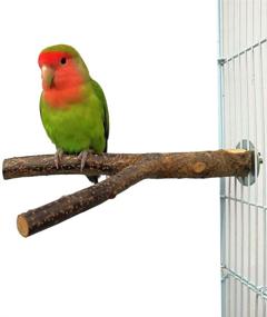 img 2 attached to 🦜 QUMY Bird Parrot Toys: Enhance Bird Cage Playtime with Hanging Bell Hammock Swing and Perch Toy for Small Parakeets, Cockatiels, Conures, and More!