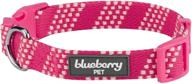 🐶 blueberry pet designer dog collars with 10+ geometric patterns logo