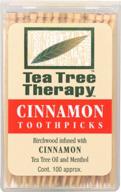 🌿 tea tree therapy cinnamon toothpicks - 100 count logo